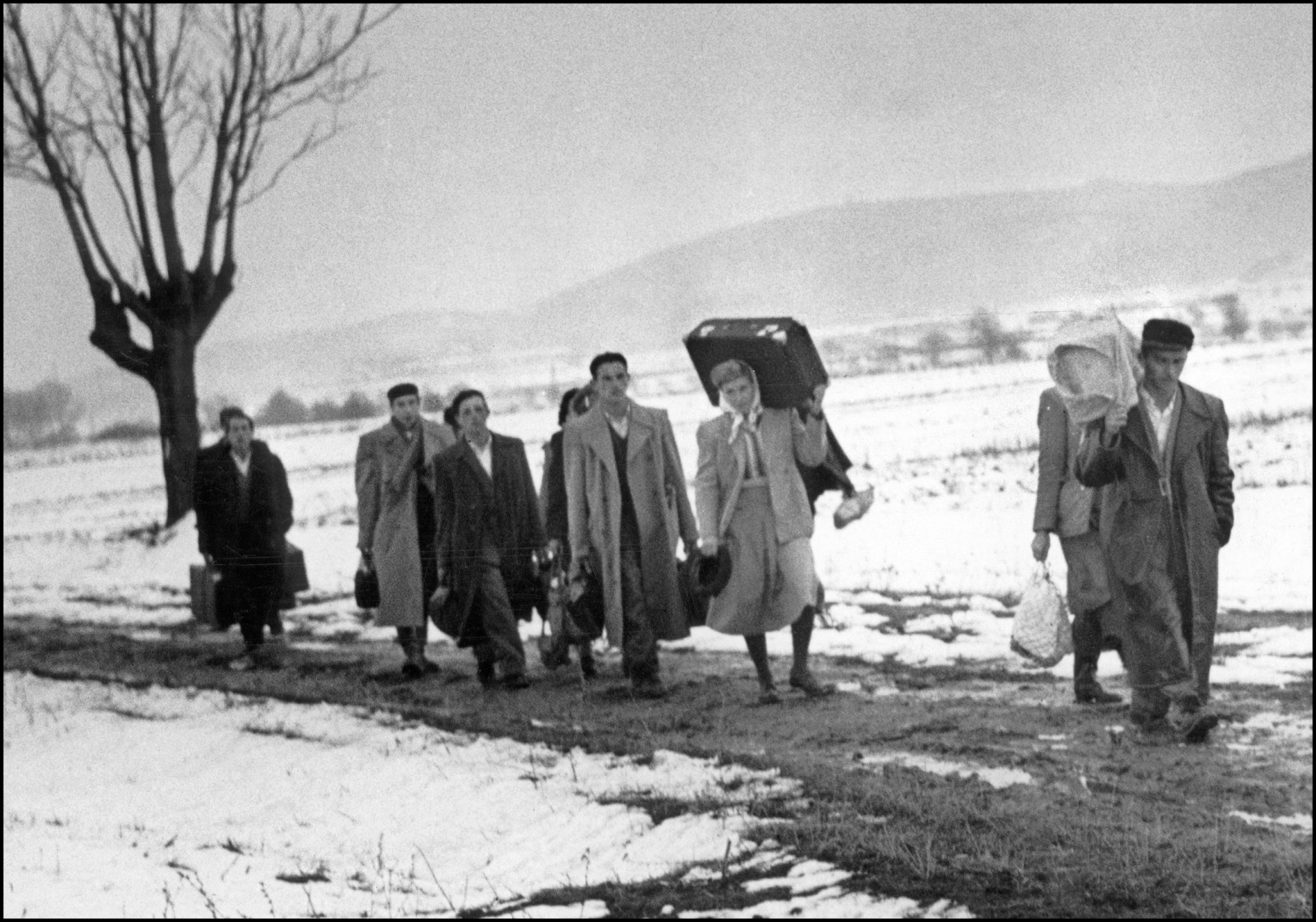 Refugees after 1956 – Traiskirchen, Austria