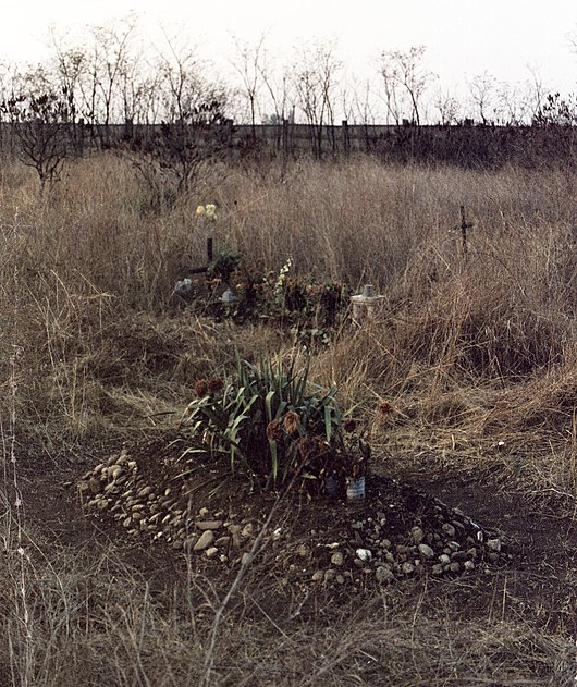 Retaliation after the fight – Section 301 of the New Public Cemetery, Budapest